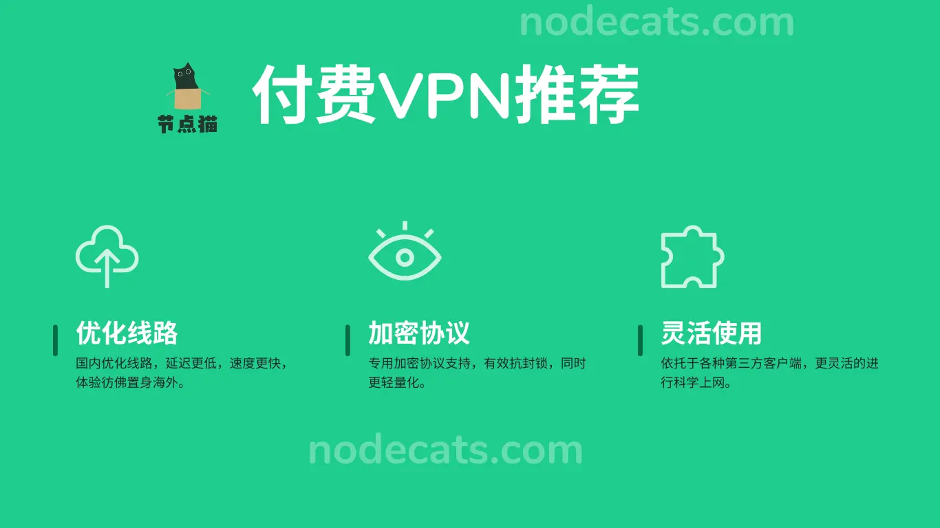 中国国内稳定好用的付费VPN推荐-节点狗