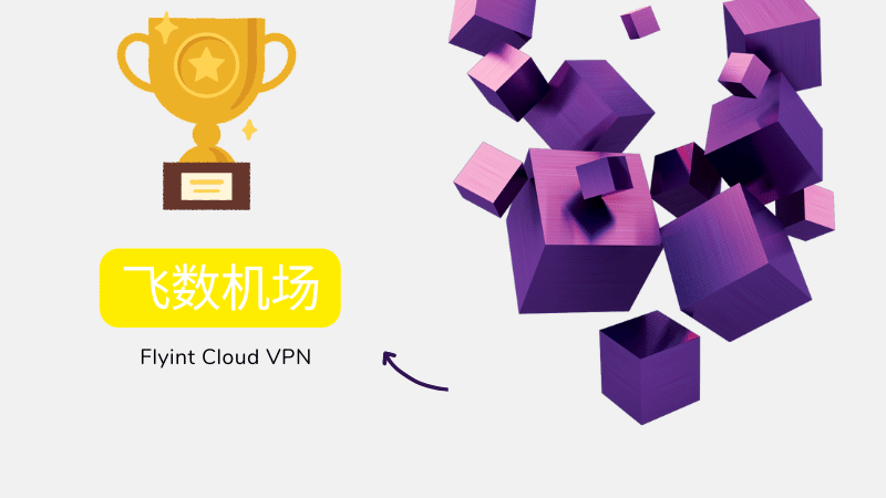 Flyint 飞数机场怎么样?-节点狗