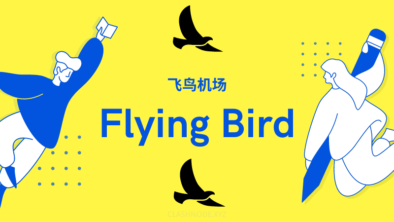 Flying Bird 飞鸟机场 Flying Bird 飞鸟机场