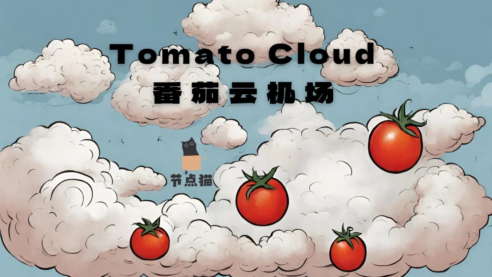 TomatoCloud 番茄云机场评测报告-节点狗