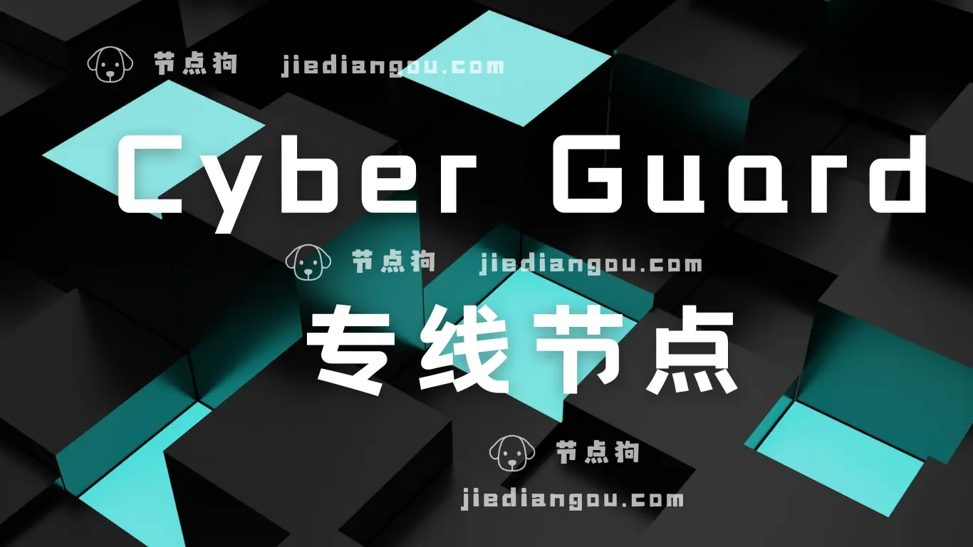 CyberGuard 专线节点 CyberGuard 专线节点