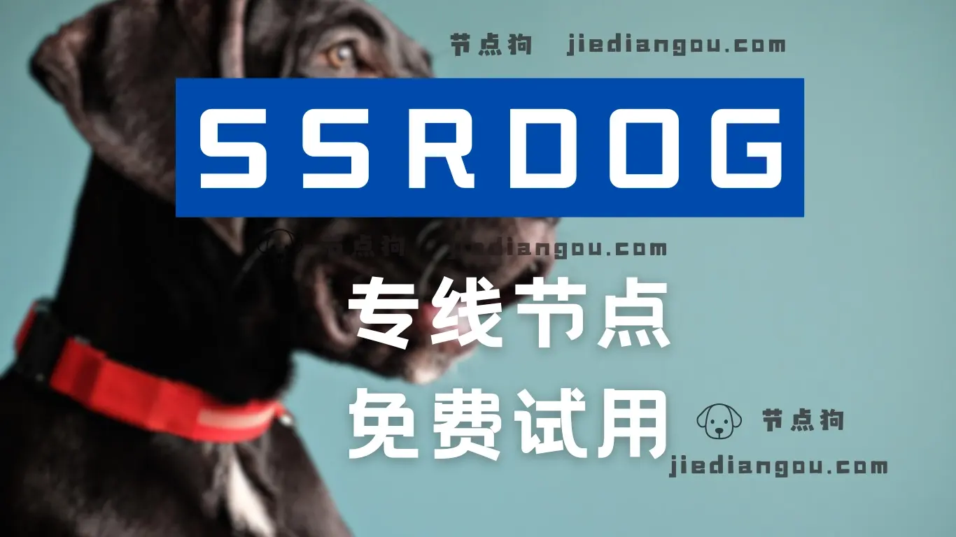 SSRDOG 专线节点 SSRDOG 专线节点