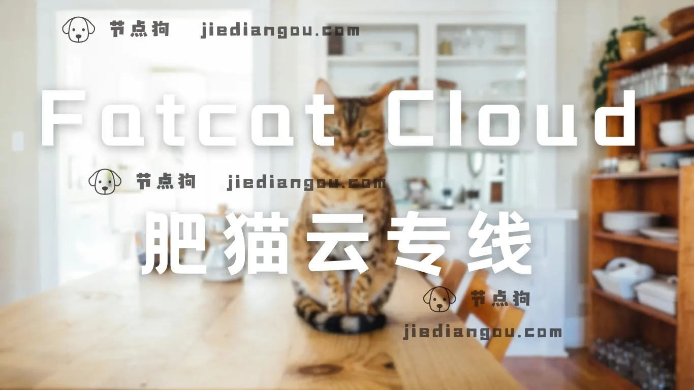 fatcat 肥猫云专线 fatcat 肥猫云专线