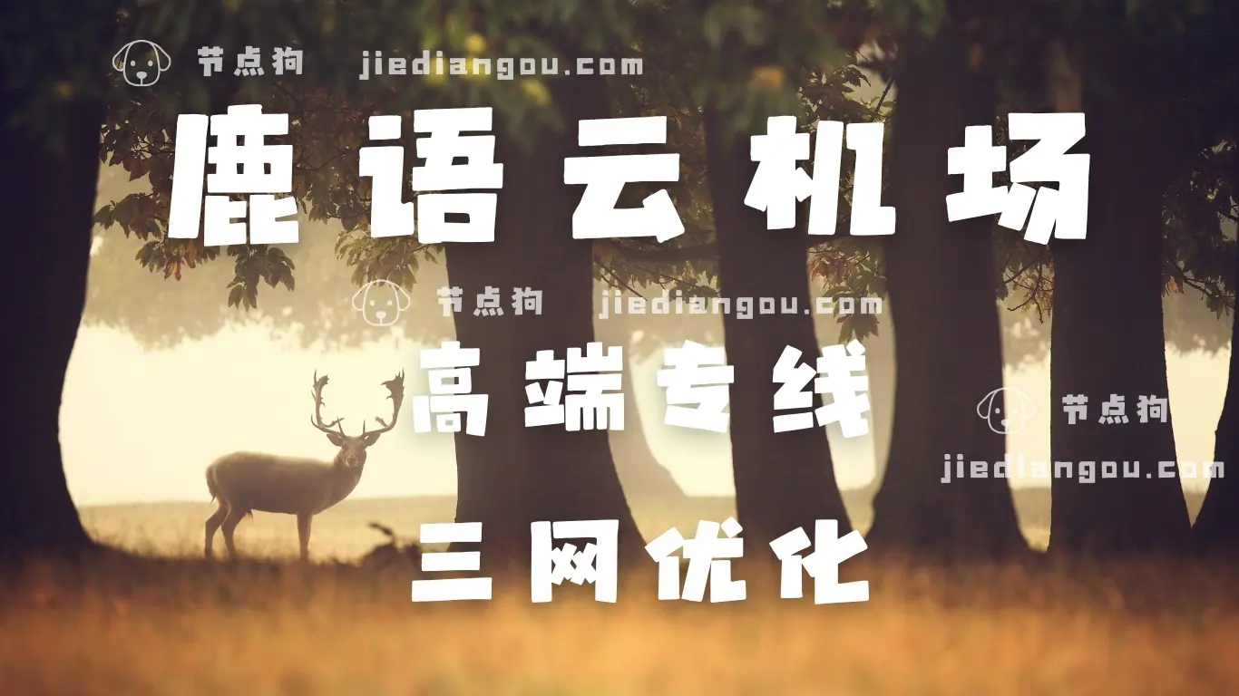 鹿语云机场 高端专线加速器 鹿语云机场 高端专线加速器