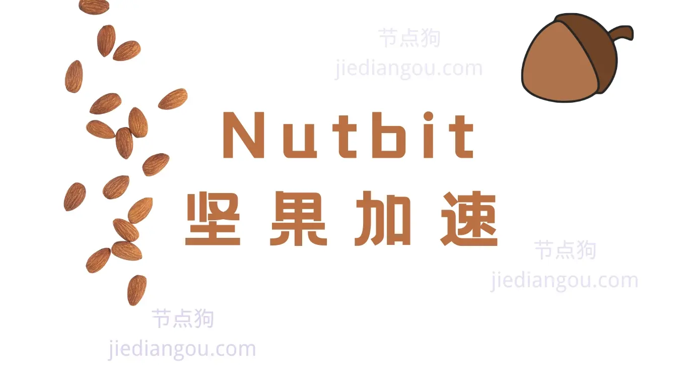 nutbit VPN 坚果机场加速器 nutbit VPN 坚果机场加速器