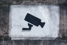 墙中墙是什么意思?-节点狗