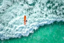 墙洞机场怎么样?Dler 机场真实用户评价参考-节点狗