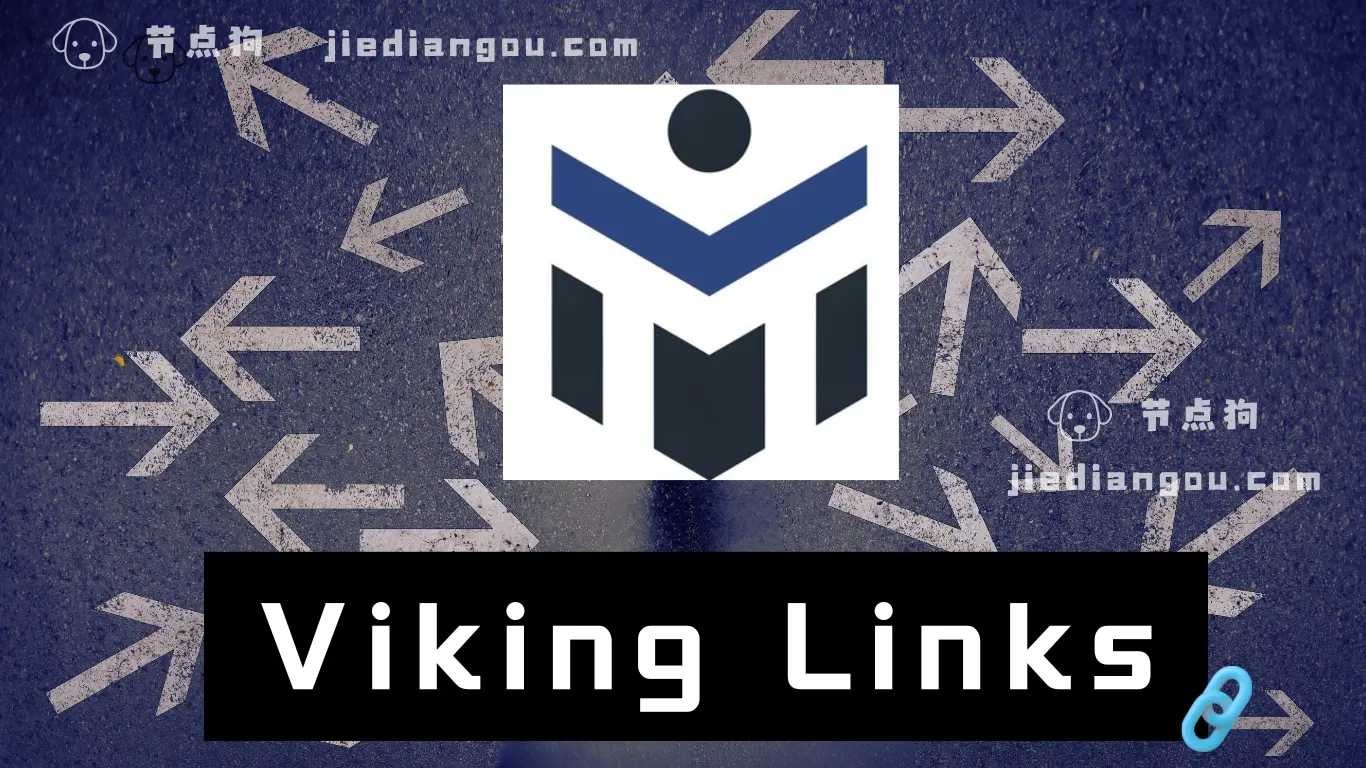 Viking Links 机场测评：高端专线网络、入口和落地丰富、限时折扣-节点狗