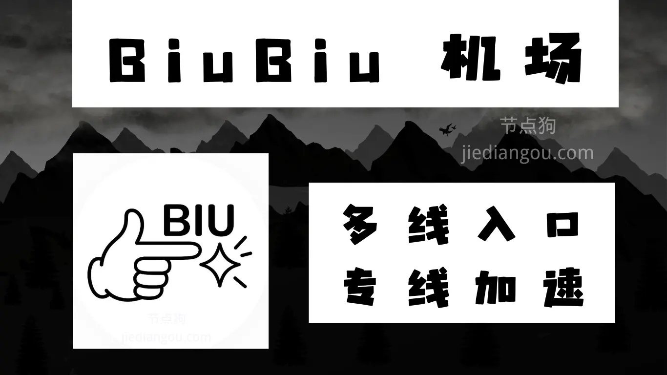 BiuBiu 机场测评：IPLC 专线加速、丰富的线路节点可选择-节点狗